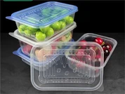 Cynhwysydd Bwyd Plastig Tryloyw